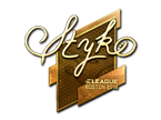 STYKO (Gold) | Boston 2018 image